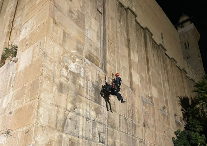 ‏‏לכידה