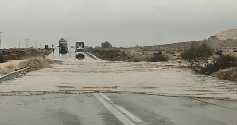‏‏צילום מסך (135)