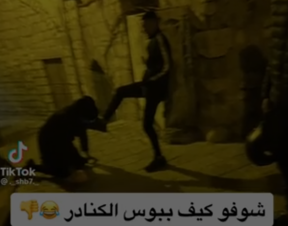‏‏צילום מסך (138)