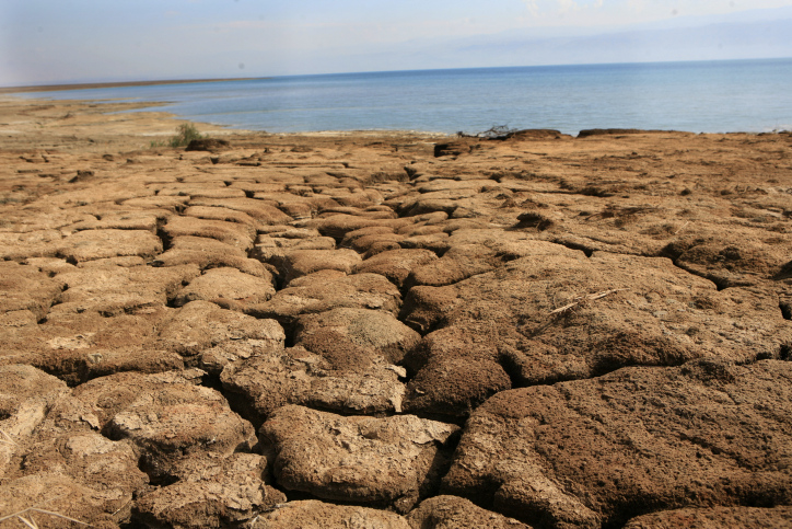 View of a dryed floors on the Dead Sea shore