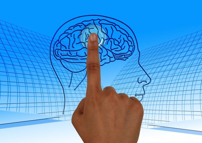 brain-g15669075b_1920