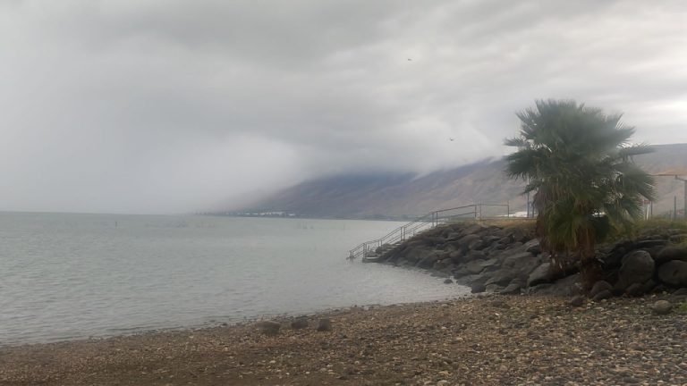 photo1675143726