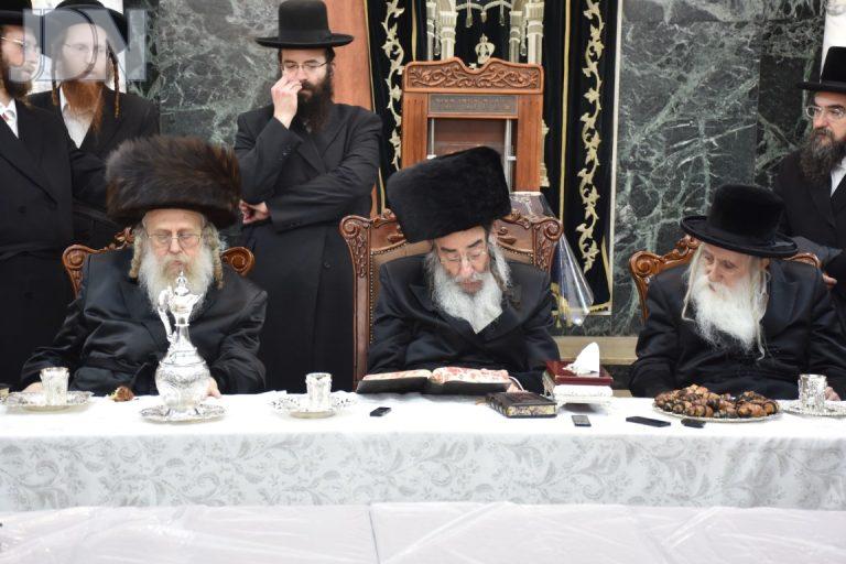 אלכסנדר קאמארנא ענלענדער ברית (16)