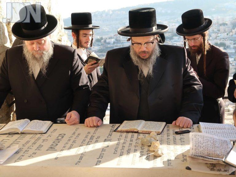 באסטאן הילולא (4)