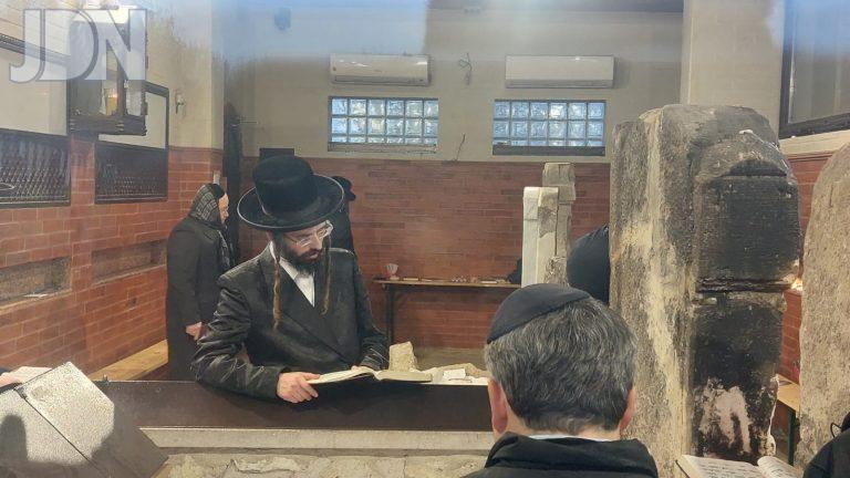 זוויעהל קרעסטעיר (3)