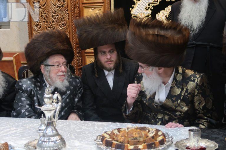 סטראפקוב גשטטנר שטיינר ש''ב (11)