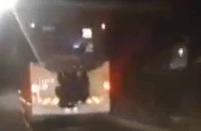 ‏‏לכידה