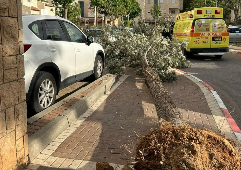 אמו של הילד שנפצע מעץ שקרס ביציאה מבית הכנסת: "תתפללו בשבילו"