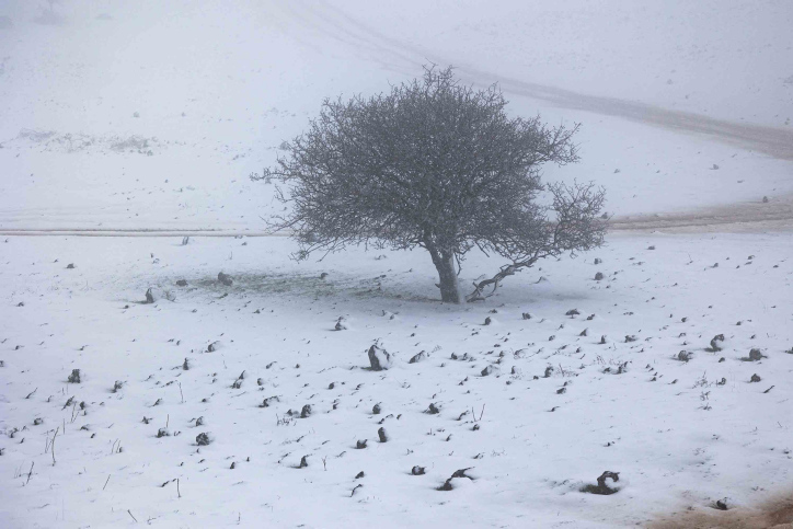 ISRAEL WEATHER