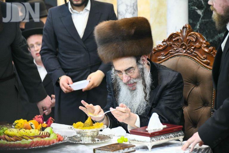 אלכסנדר טו בשבט פג (27)