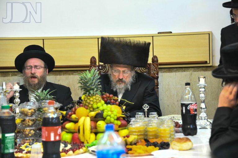 אנטניא חמשה עשר בשבט (1)