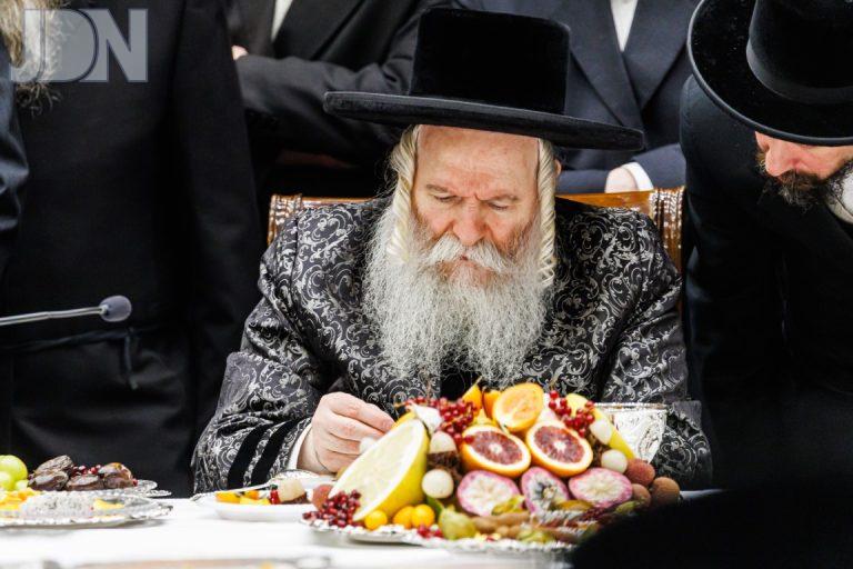 באבוב טו בשבט פג (10)