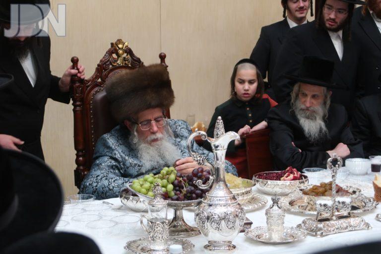 דינוב טו בשבט פג (3)