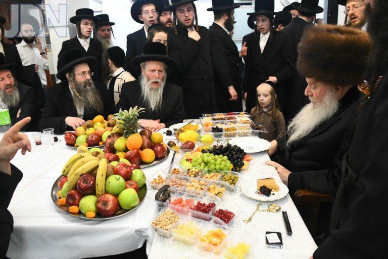 וואסלוי חמשה עשר בשבט (8)