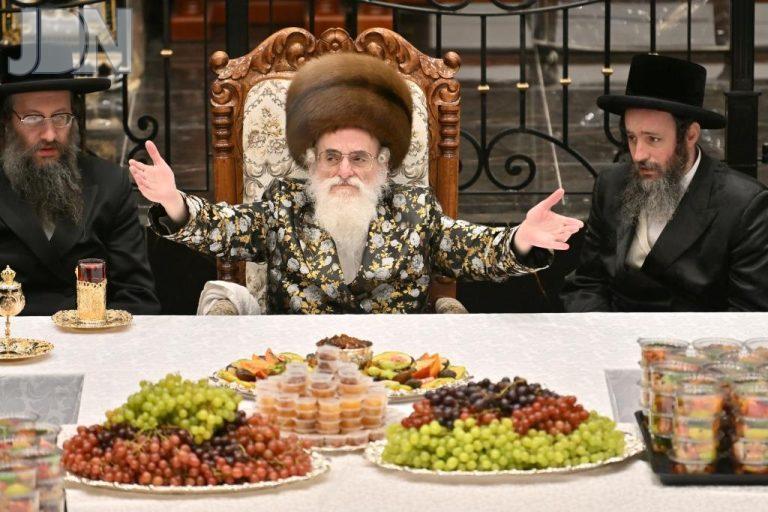 ויז'ניץ טו בשבט פג (16)