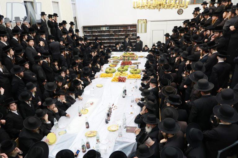 זוויעהל טו בשבט פג (16)