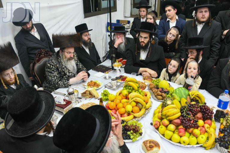 זוטשקא אמסנא חמשה עשר בשבט (3)