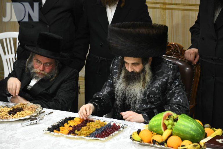 זוטשקא טו בשבט פג (12)