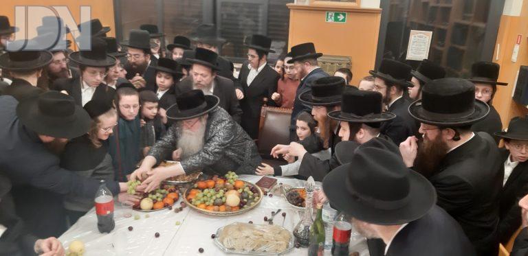 ז'מיגראד אנטוורפן טו בשבט פג (18)