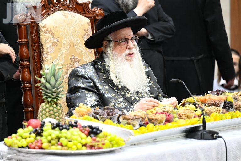 טו בשבט בחצר הקודש צאנז צילום משה גולדשטיין (8)