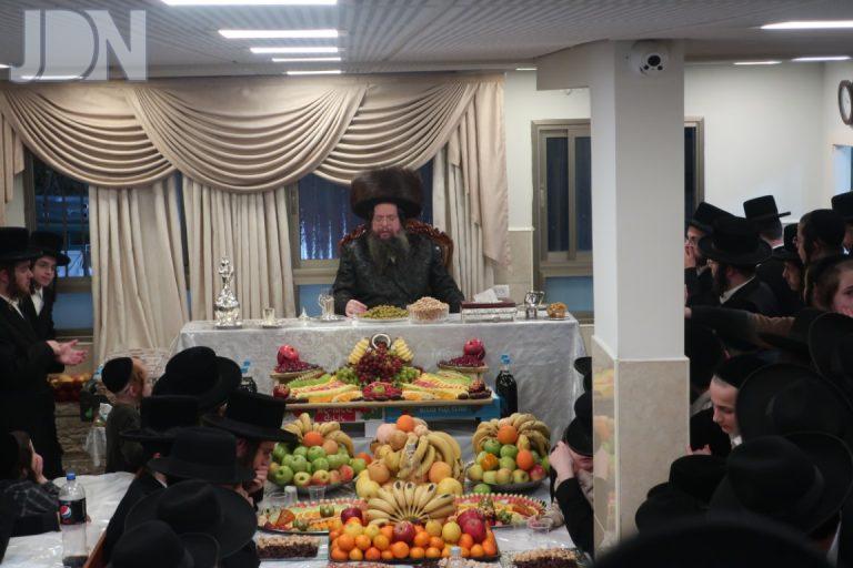 טעמשוואר אלעד טו בשבט פג (4)