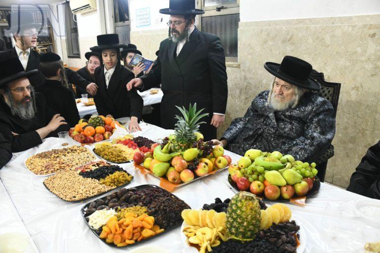 טעמשוואר חמשה עשר בשבט (3)