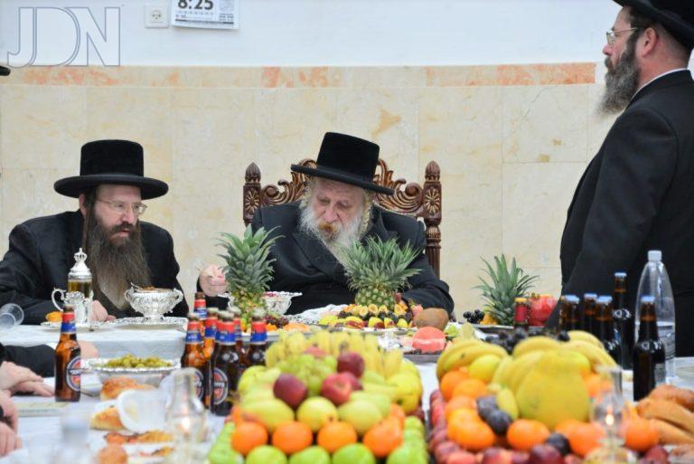 טשארנאביל טו בשבט פג (2)