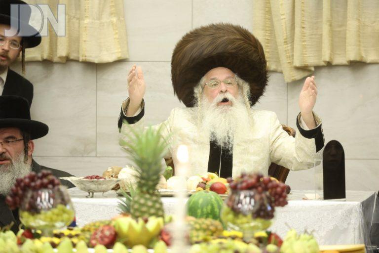 נדבורנה ירושלים טו בשבט פג (2)