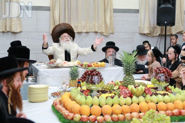 נדבורנה ירושלים טו בשבט פג (6)