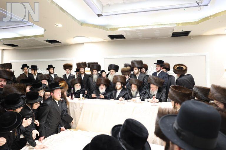 נכדת פסקי תשובות ונכדת אמרי חיים ו זוויעהל חתונה (93)