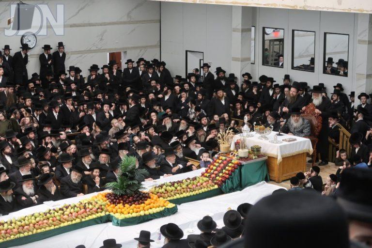 סאטמאר טו בשבט פג (25)