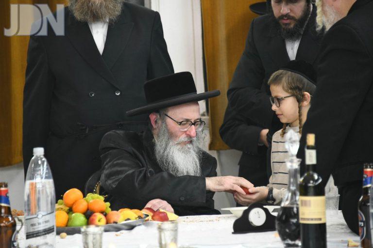ספינקא ב''ב חמשה עשר בשבט (5)