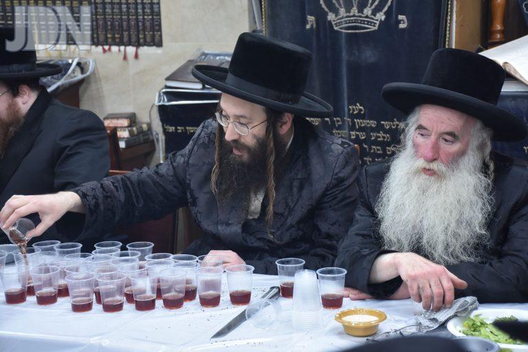 ספינקא גני גד הילולא (10)