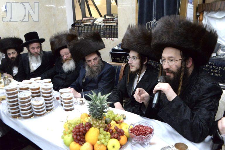 ספינקא גני גד טו בשבט (8)