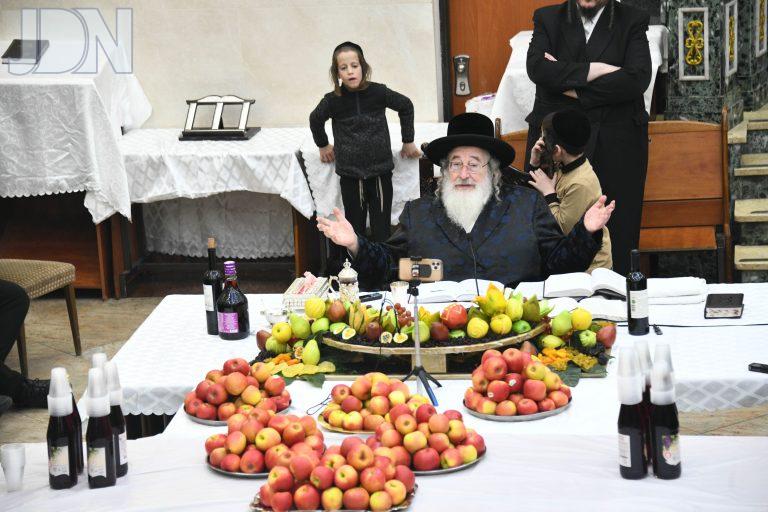 ספינקא חמשה עשר בשבט (2)