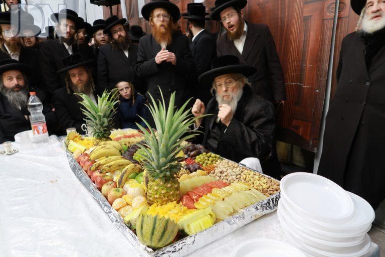 פינסק קרלין טו בשבט פג (6)