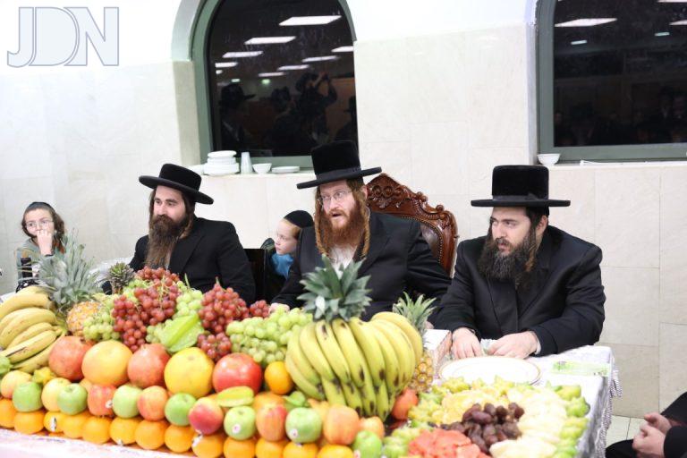 קאליב טו בשבט פג (46)