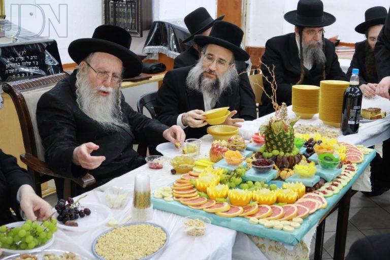 קרית צאנז טו בשבט פג (13)