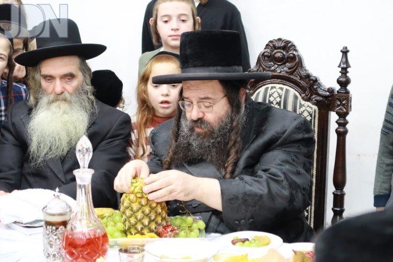 ראדושיץ טו בשבט פג (4)