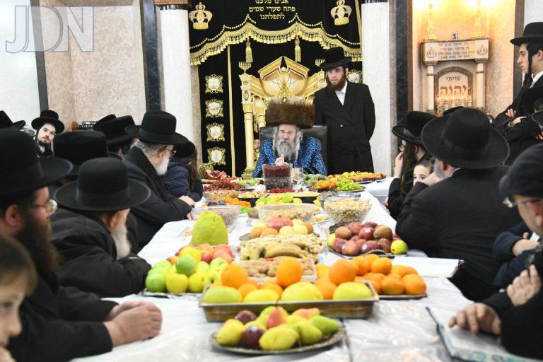 ראחוב טו בשבט פג (10)