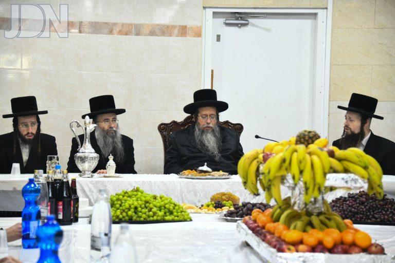 שבט הלוי חמשה עשר בשבט (4)
