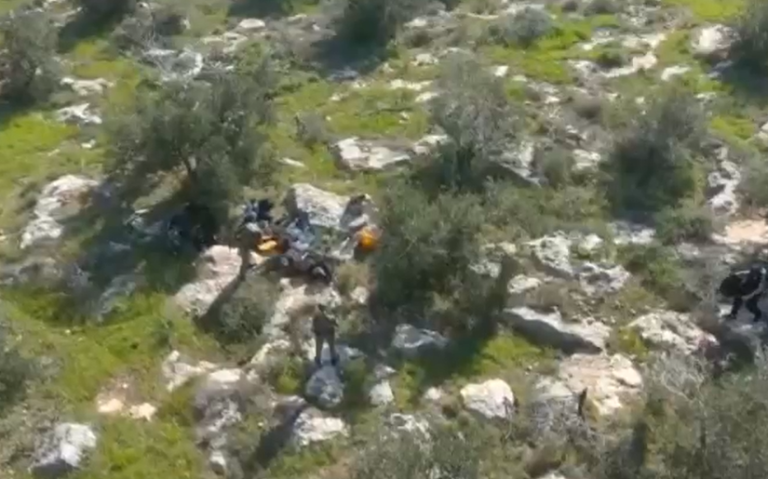 ‏‏לכידה