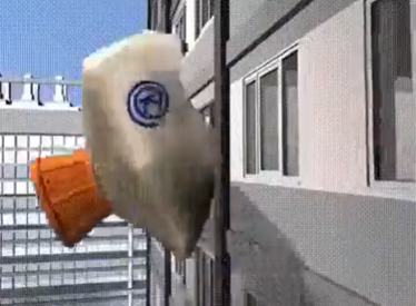 ‏‏לכידה