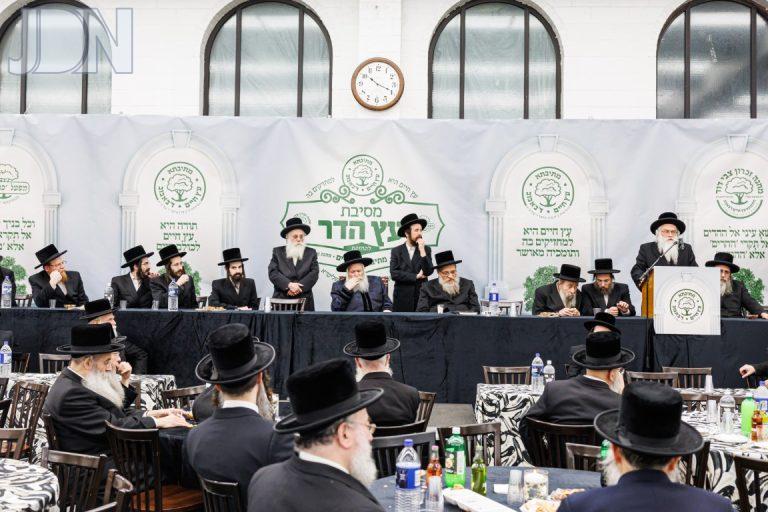 באבוב מסיבת עץ הדר (11)