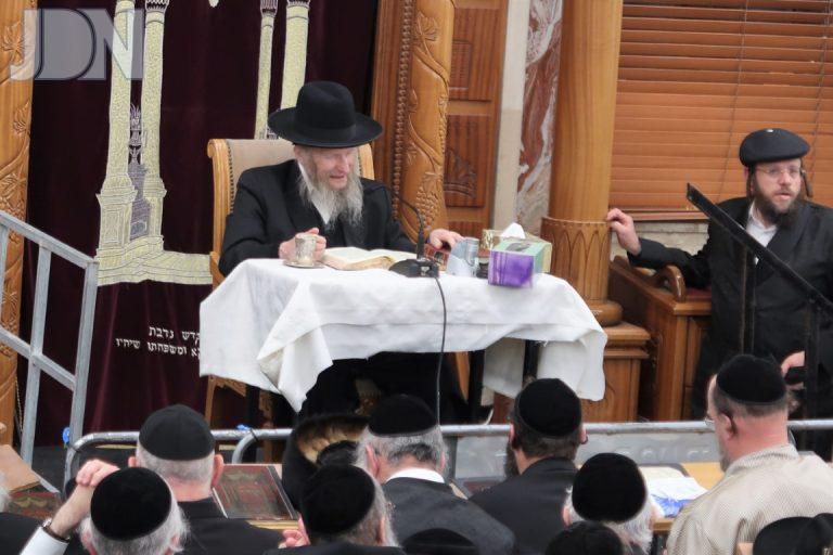 הגר''ד סגל פורים (3)