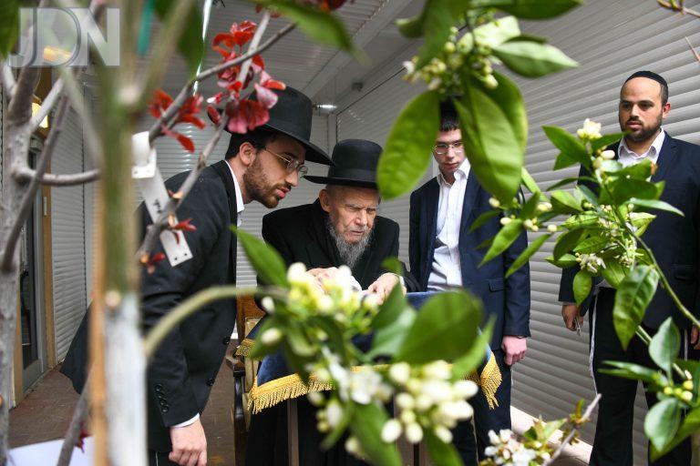 הגרי''ג אדלשטיין ברכת האילנות (16)