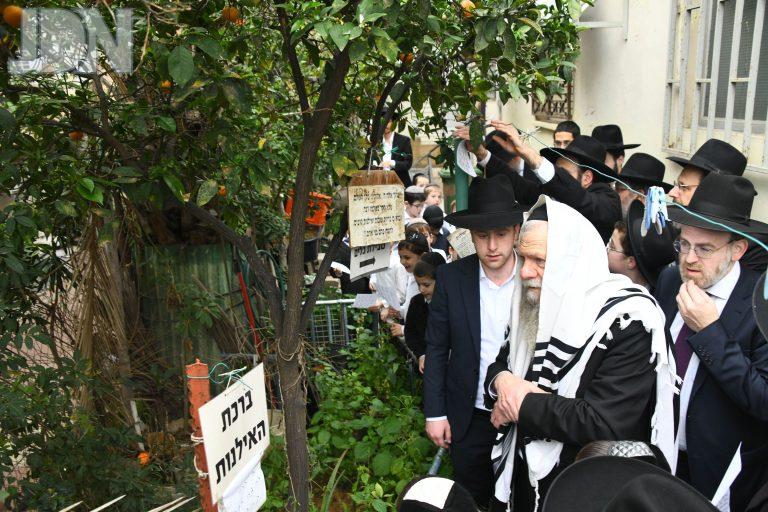 הגרמ''ש אדלשטיין ברכת האילנות (10)