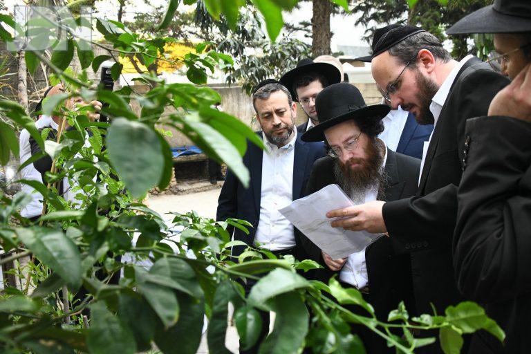 הגר''ע פריד ברכת האילנות (8)