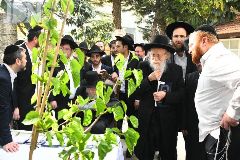 הגר''ש גלאי ברכת האילנות (4)