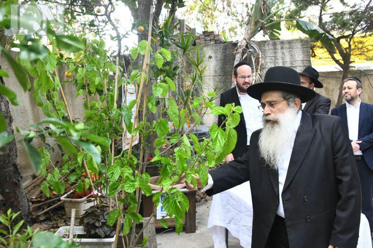 הגר''ש שטיינמן ברכת האילנות (6)